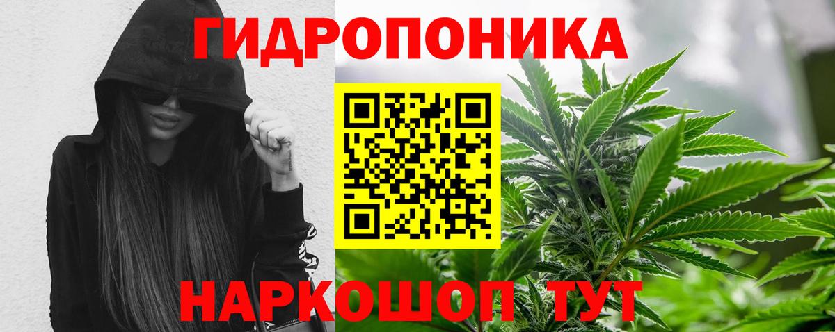 Шишки марихуана LSD WEED  Конопля семена  Бошки марихуана марихуана  Вход с VPN  Ржев  Канабис гибрид 